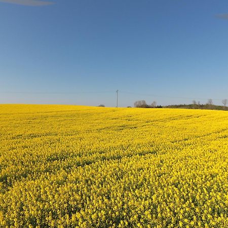 Schleiblick App 6 Lägenhet Rabenkirchen-Faulück Exteriör bild